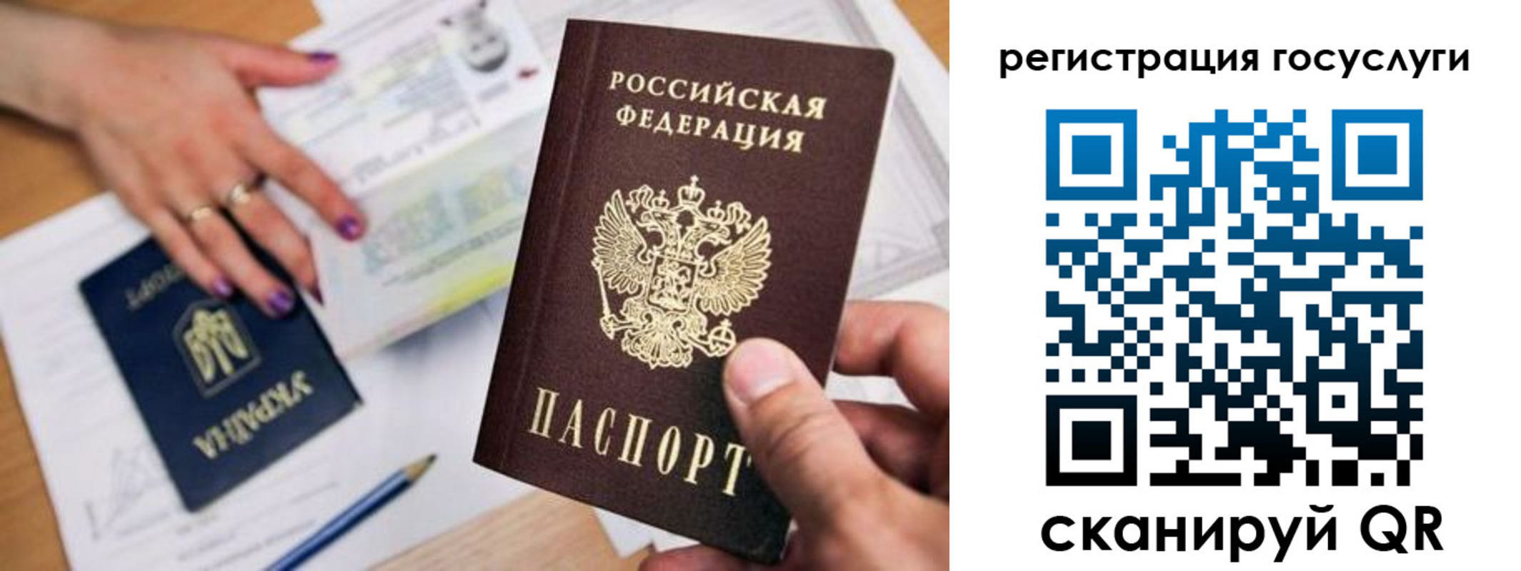 прописка иностранных граждан в Мытищах